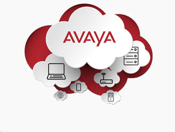 AVAYA Unified Communication Cloud